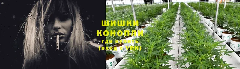 KRAKEN ССЫЛКА  Бирюсинск  Бошки Шишки OG Kush 